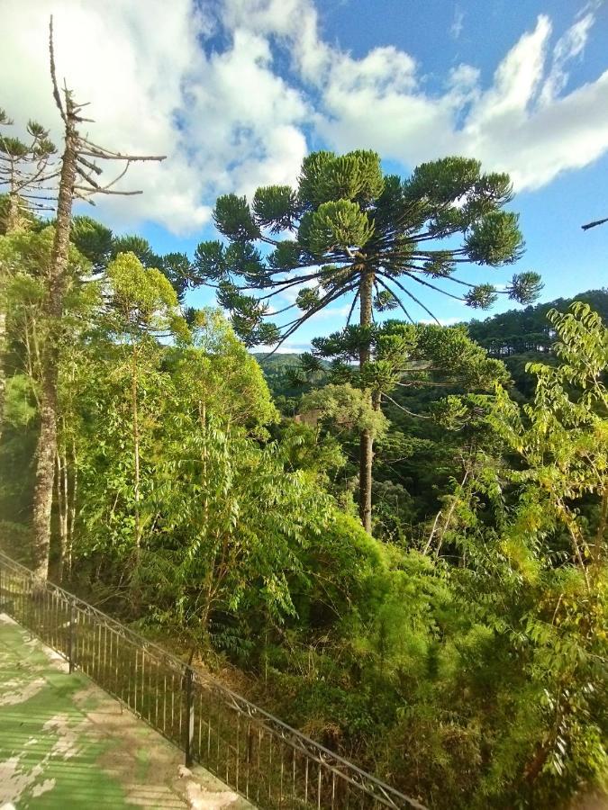 Apto Bosque Araucarias Apartamento *